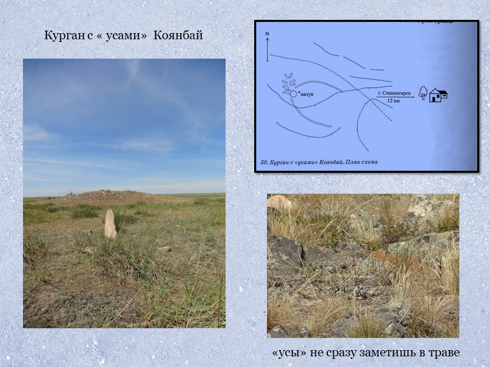 Курганы саки